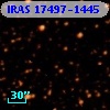 IRAS 17497-1445