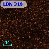 LDN  318