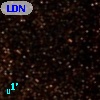 LDN  325