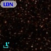 LDN  338