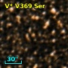 V* V369 Ser