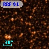 RRF   81