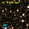V* V366 Ser