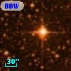 BBW 34201