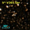 V* V365 Ser