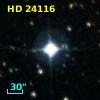 HD  24116