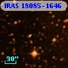 IRAS 18085-1646