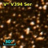 V* V394 Ser
