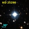 HD  25290