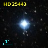 HD  25443