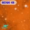 HSNH  49