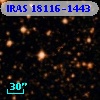 IRAS 18116-1443
