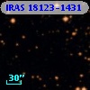 IRAS 18123-1431