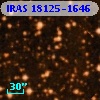 IRAS 18125-1646