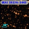 IRAS 18174-1443