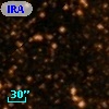 IRAS 18190-1556