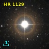 HR  1129