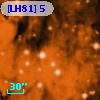 [LH81]  5