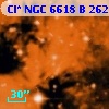 Cl* NGC 6618      B     262