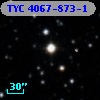 TYC 4067-873-1