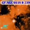 Cl* NGC 6618      B     239