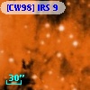 [CW98] IRS  9