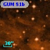 GUM 81b