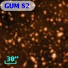 GUM 82
