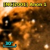 [NCJ2001] Anon 1