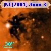 [NCJ2001] Anon 3