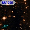 RFS  205