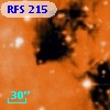 RFS  215