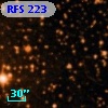RFS  223