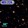 RFS  229