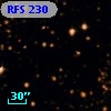 RFS  230