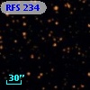 RFS  234