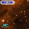 RFS  236