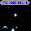 TYC 4066-980-1