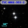 TYC 4066-993-1