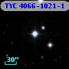 TYC 4066-1021-1