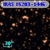 IRAS 18203-1446