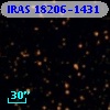 IRAS 18206-1431