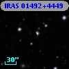 IRAS 01492+4449