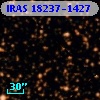 IRAS 18237-1427