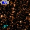 IRAS 18238-1544