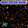 IRAS 18239-1559
