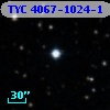 TYC 4067-1024-1