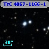 TYC 4067-1166-1