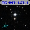 TYC 4067-1175-1