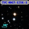 TYC 4067-1256-1